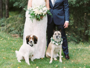 Alaska wedding with dogs film photographer
