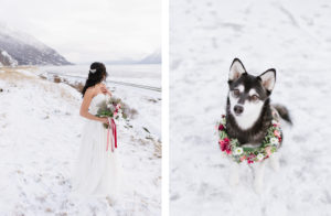 Alaskan husky wedding