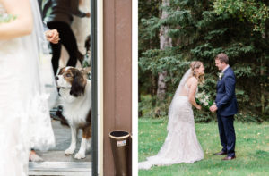 Alaska wedding with dogs