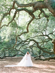 Angel Oak Tree bridal portraits