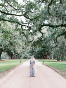 Boone Hall live oak tree tunnel bride 